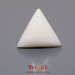 White Coral - 13.1 Carat
