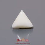 White Coral - 6.15 Carat