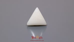 White Coral - 10 Carat