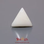 White Coral - 10 Carat