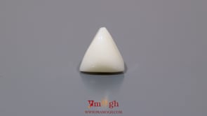 White Coral - 6.15 Carat