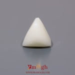 White Coral - 6.15 Carat