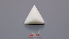White Coral - 12.85 Carat