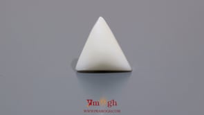 White Coral - 8.65 Carat