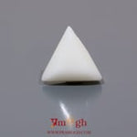 White Coral - 5.4 Carat