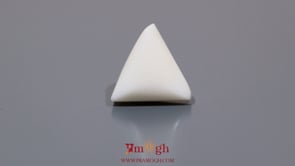 White Coral - 8.35 Carat