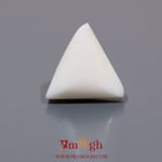 White Coral - 8.35 Carat