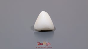 White Coral - 7.2 Carat