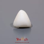 White Coral - 7.2 Carat