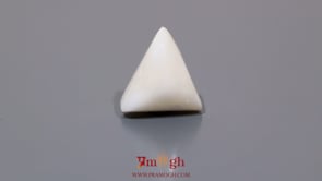 White Coral - 8.7 Carat