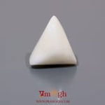 White Coral - 8.7 Carat