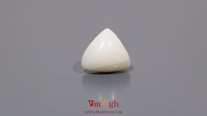 White Coral - 6.8 Carat