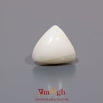White Coral - 6.8 Carat