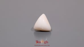 White Coral - 5.65 Carat