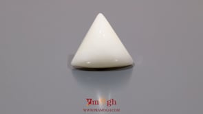 White Coral - 15.9 Carat