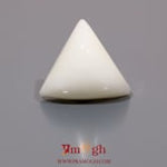 White Coral - 15.9 Carat