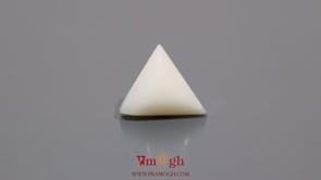 White Coral - 8.3 Carat