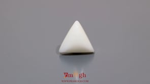 White Coral - 9.65 Carat
