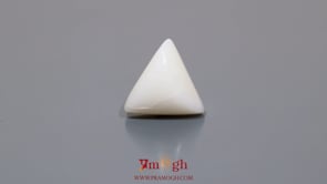 White Coral - 8.1 Carat