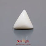 White Coral - 8.1 Carat