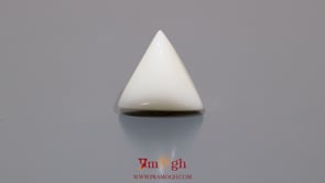 White Coral - 11.2 Carat