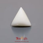 White Coral - 11.2 Carat
