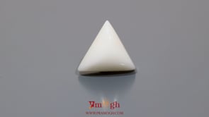 White Coral - 10.95 Carat