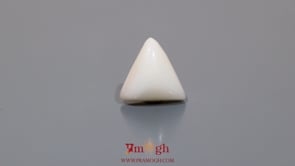White Coral - 6.1 Carat