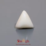 White Coral - 6.1 Carat