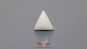 White Coral - 5.9 Carat