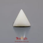 White Coral - 5.9 Carat