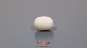 White Coral - 10.5 Carat
