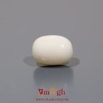 White Coral - 10.5 Carat