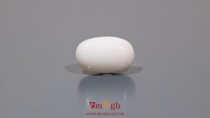 White Coral - 8.85 Carat