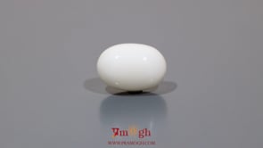 White Coral - 12.4 Carat