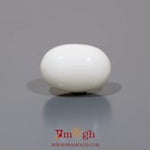 White Coral - 12.4 Carat