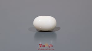 White Coral - 8.9 Carat