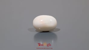 White Coral - 8.9 Carat