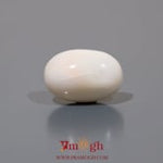 White Coral - 8.9 Carat
