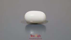 White Coral - 12.15 Carat