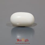 White Coral - 12.15 Carat