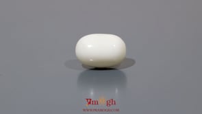 White Coral - 9.15 Carat