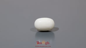 White Coral - 7.85 Carat