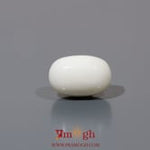White Coral - 7.85 Carat