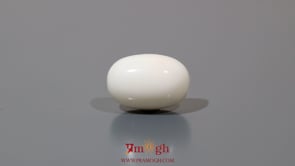 White Coral - 9.95 Carat