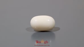 White Coral - 11.35 Carat
