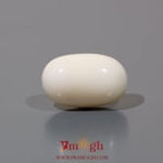 White Coral - 11.35 Carat