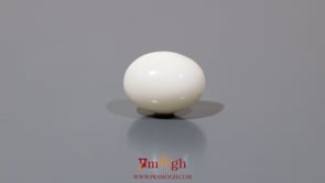 White Coral - 8.85 Carat