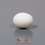 White Coral - 8.85 Carat