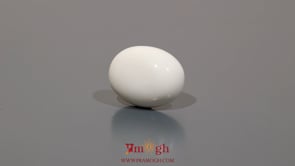 White Coral - 9.35 Carat
